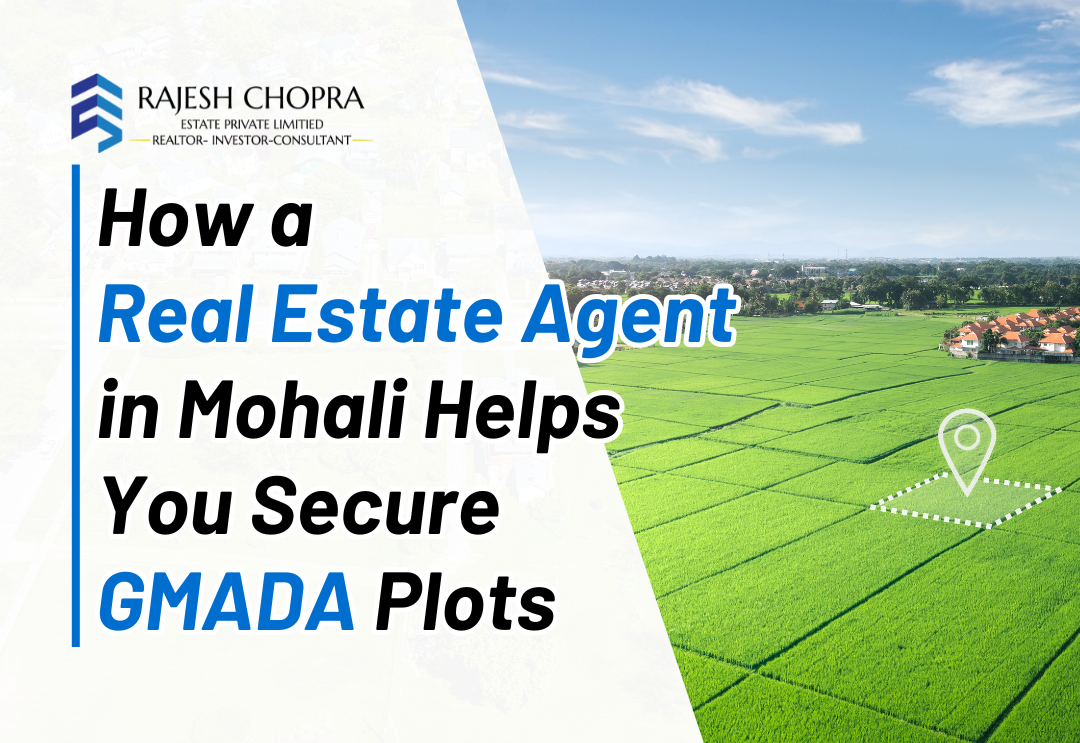 How a Real Estate Agent in Mohali Helps You Secure GMADA Plots