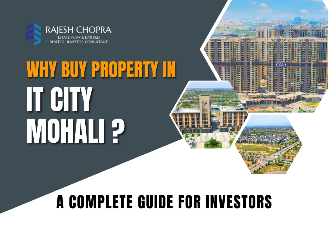 Why Buy Property in IT City Mohali? A Complete Guide for Investors.